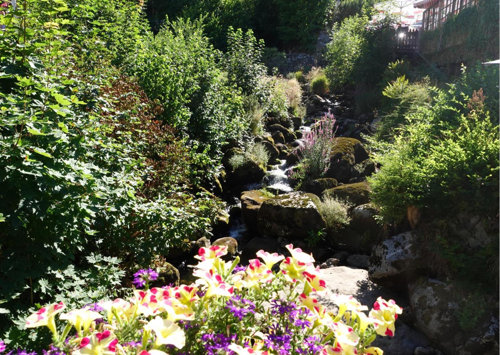 Hotel Pfaff Triberg im Schwarzwald Zewnętrze zdjęcie